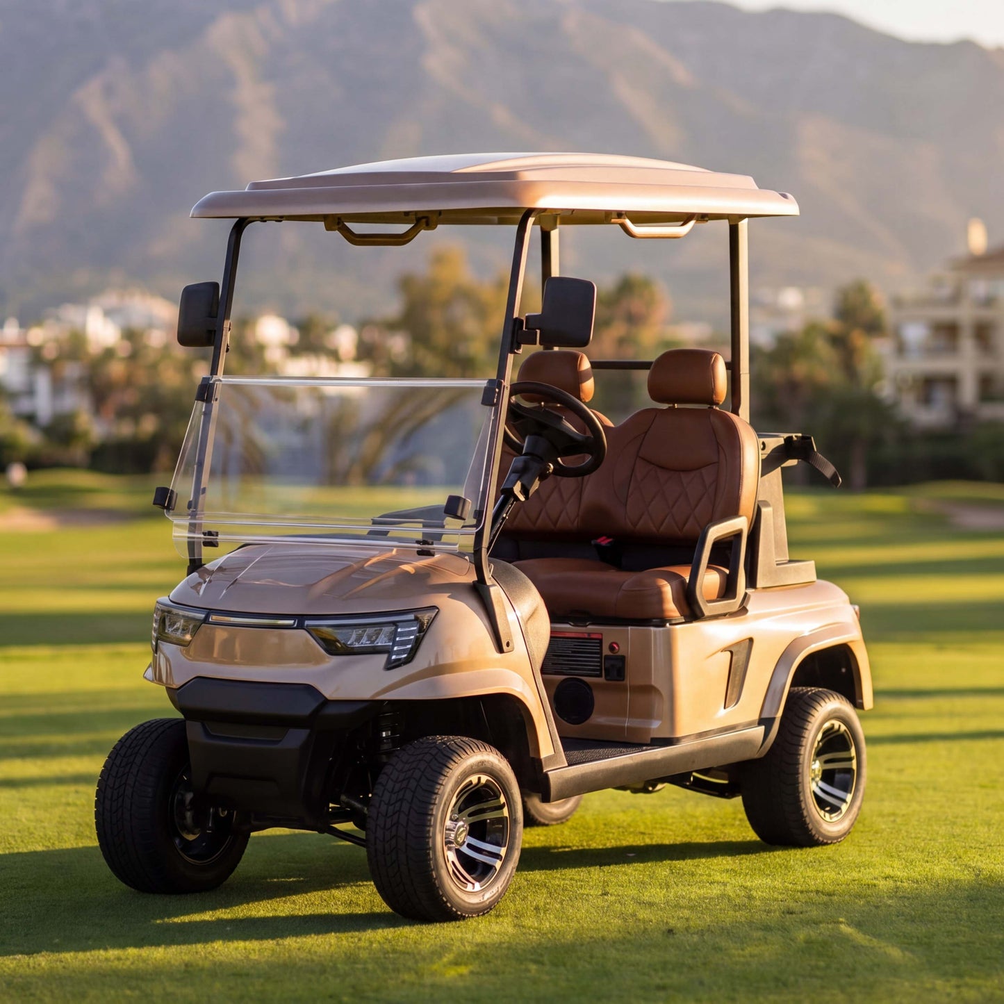 E2 Two Person Utility Golf Cart