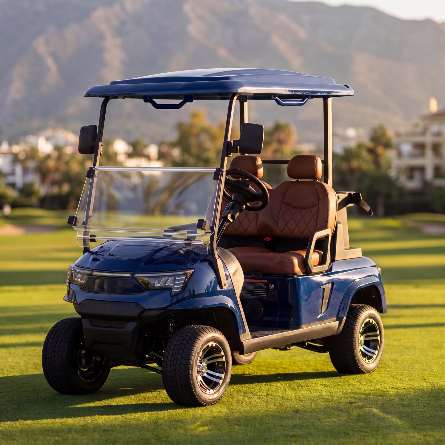 Carro de golf utilitario E2 para dos personas