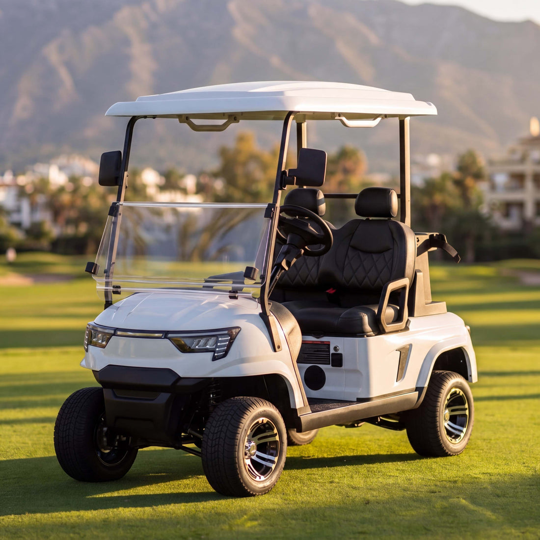 Zycar E2 two-seat utility golf buggy in White with Black seats