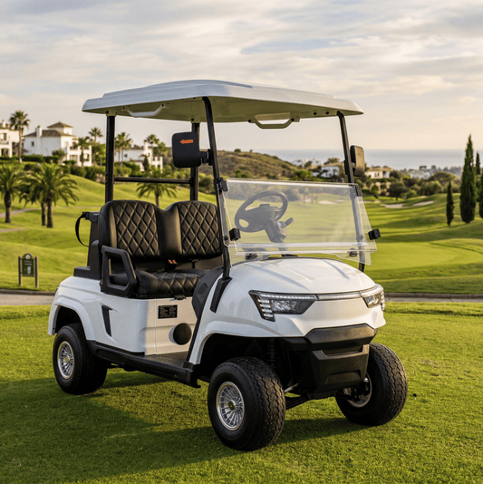 Can You Customize Your Zycar Golf Buggy? Colors, Trims, and Model Options Explained