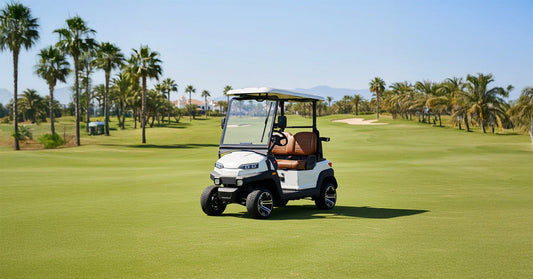 Why the Zycar Golf Buggy is the Ultimate Accessory for the Spanish Good Life