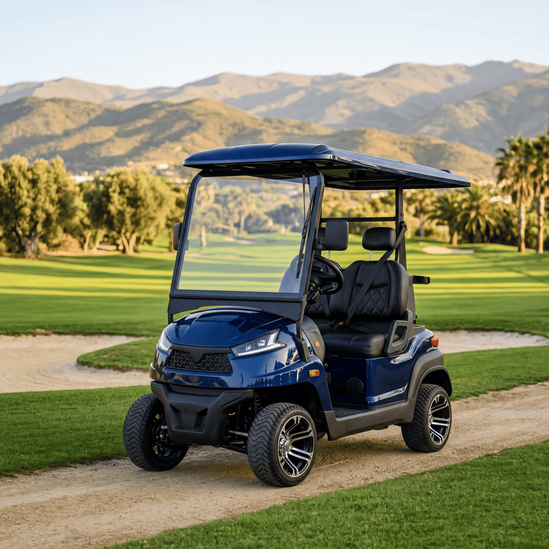 The Ultimate Guide to Seating Capacity: How Many Seats Are in a Zycar Golf Buggie?