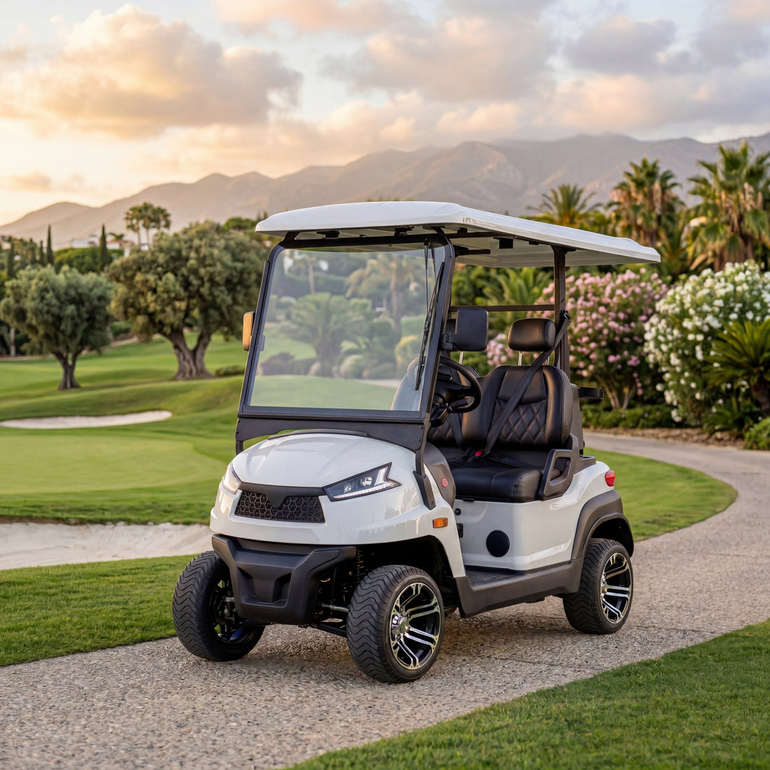 Upgrade Your Ride: Trade-In Your Old Cart for a Premium Zycar Golf Buggy
