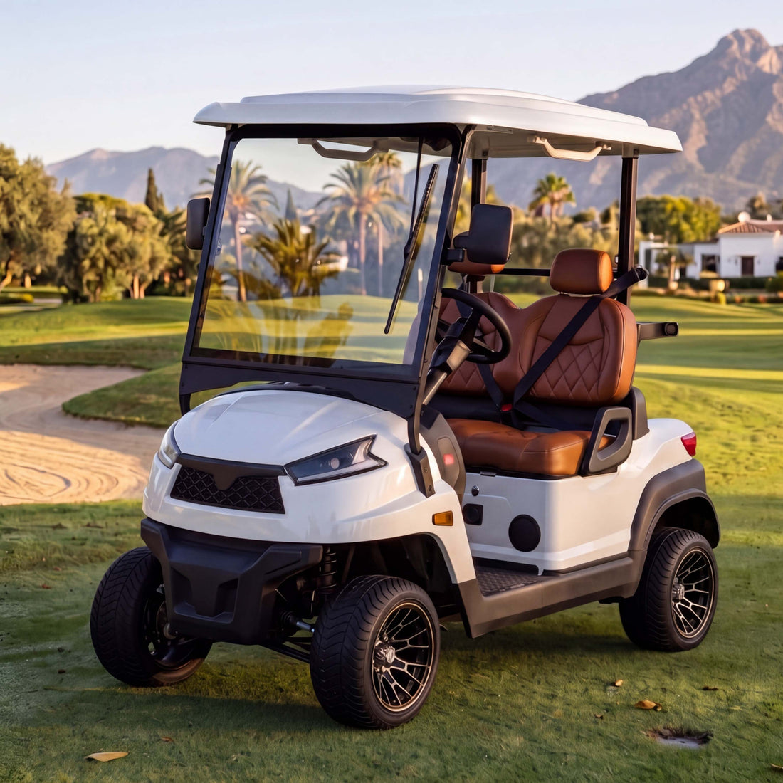 What is the Most Popular Golf Buggy Brand in the Costa del Sol? Discover the Zycar Golf Buggy