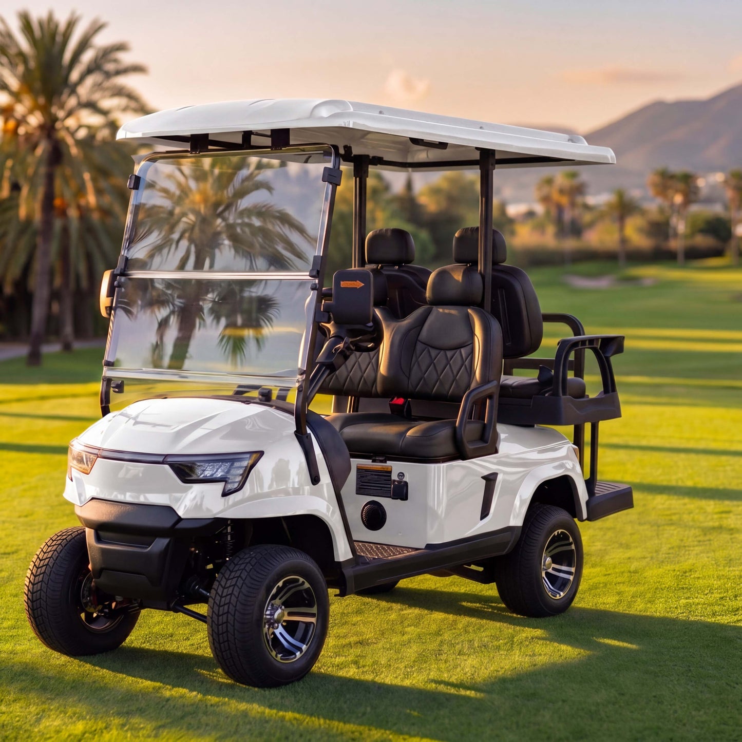 E2+2 Four Person Utility Golf Cart