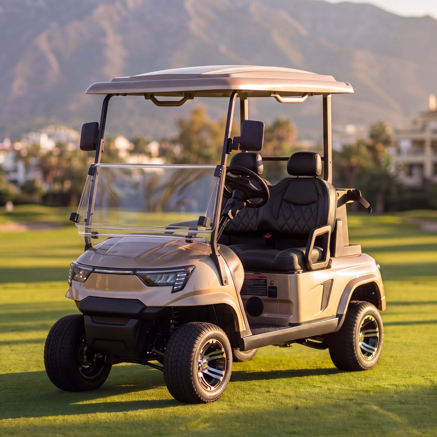 E2 Two Person Utility Golf Cart
