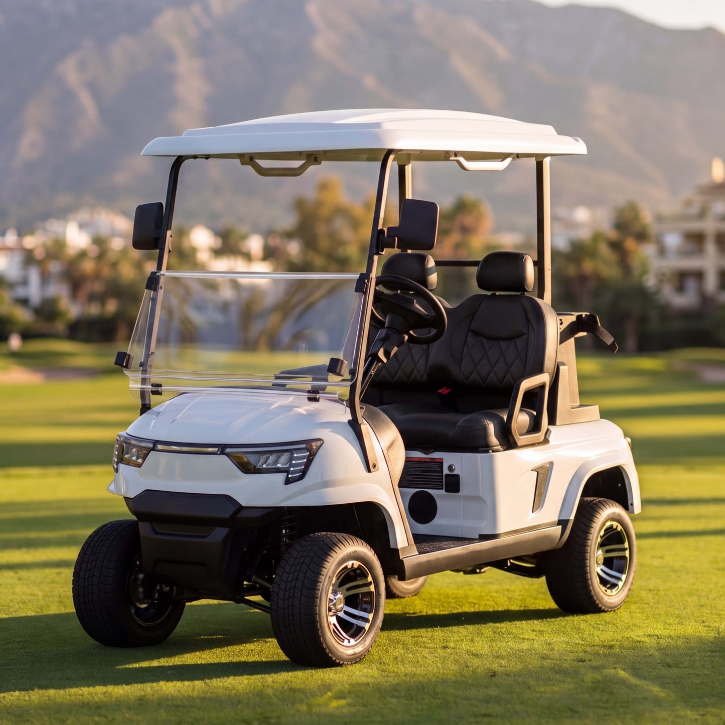 E2 Two Person Utility Golf Cart