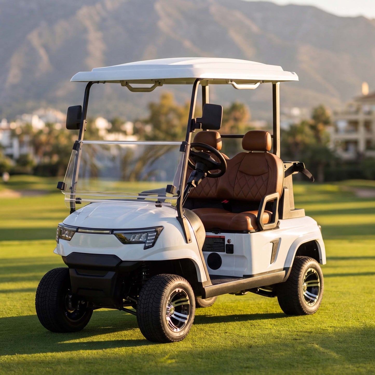 E2 Two Person Utility Golf Cart